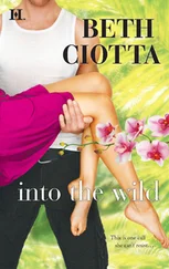 Beth Ciotta - Into the Wild