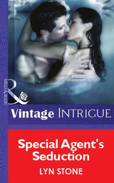 Lyn Stone Special Agent's Seduction обложка книги