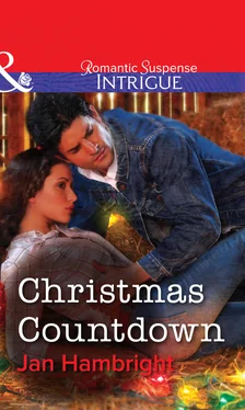 Jan Hambright Christmas Countdown обложка книги