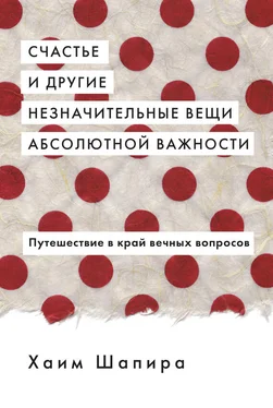 Хаим Шапира Счастье и другие незначительные вещи абсолютной важности обложка книги