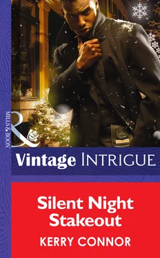 Kerry Connor Silent Night Stakeout обложка книги