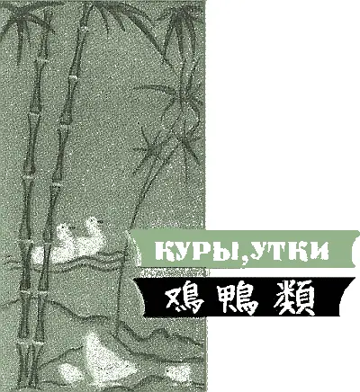 Куры утки ясо домашней птицы имеет большое значение в питании так как - фото 157