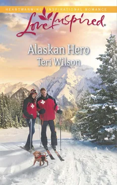 Teri Wilson Alaskan Hero обложка книги