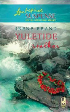 Irene Brand Yuletide Stalker обложка книги