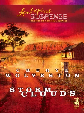 Cheryl Wolverton Storm Clouds обложка книги