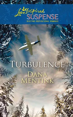 Dana Mentink Turbulence обложка книги