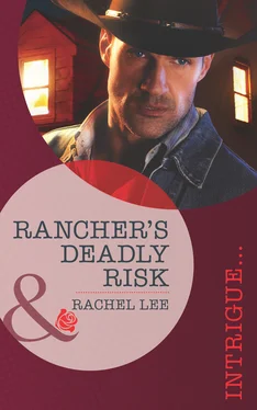 Rachel Lee Rancher's Deadly Risk обложка книги