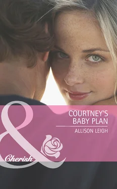 Allison Leigh Courtney's Baby Plan обложка книги