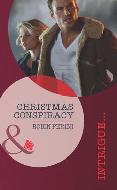 Robin Perini Christmas Conspiracy обложка книги