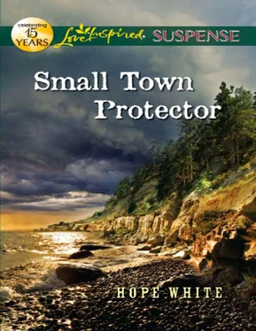 Hope White Small Town Protector обложка книги