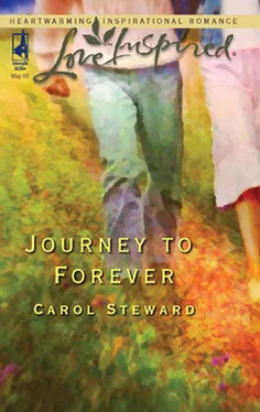 Carol Steward Journey To Forever обложка книги