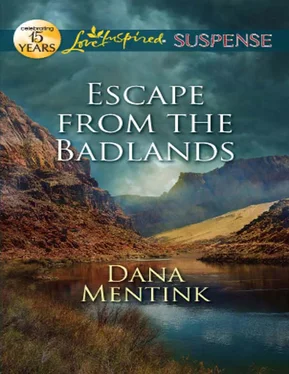 Dana Mentink Escape from the Badlands обложка книги