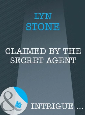 Lyn Stone Claimed by the Secret Agent обложка книги