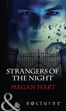 Megan Hart Strangers of the Night обложка книги