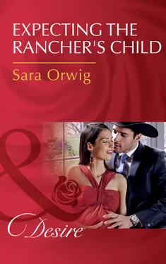 Sara Orwig Expecting The Rancher's Child обложка книги