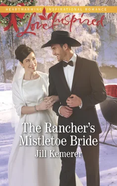 Jill Kemerer The Rancher's Mistletoe Bride обложка книги