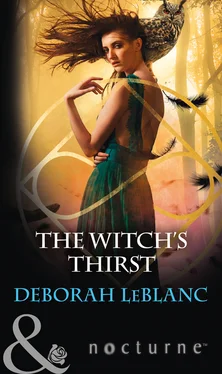 Deborah LeBlanc The Witch's Thirst обложка книги