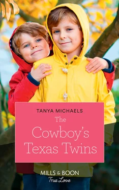 Tanya Michaels The Cowboy's Texas Twins обложка книги