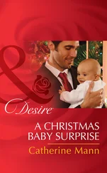 Catherine Mann - A Christmas Baby Surprise