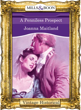 Joanna Maitland A Penniless Prospect обложка книги