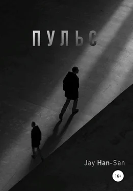 Jay Han-San Пульс обложка книги
