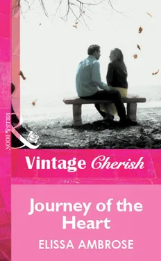 Elissa Ambrose Journey Of The Heart обложка книги