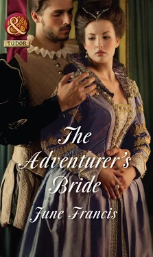 June Francis The Adventurer's Bride обложка книги
