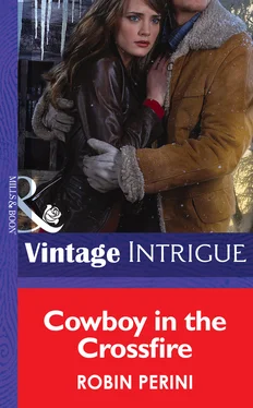 Robin Perini Cowboy In The Crossfire обложка книги