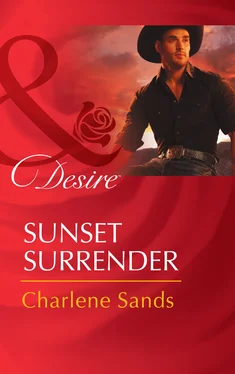 Charlene Sands Sunset Surrender обложка книги