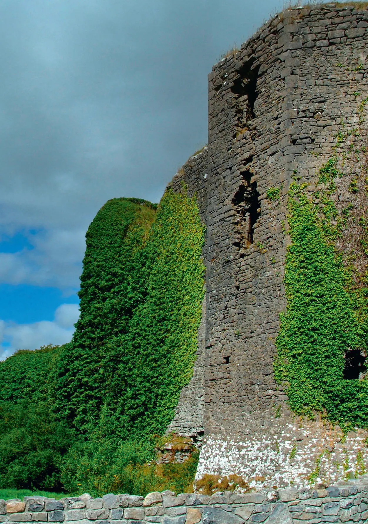 Ballydonnellan Castle LOUGHREA COUNTY GALWAY All that remains today of the - фото 17