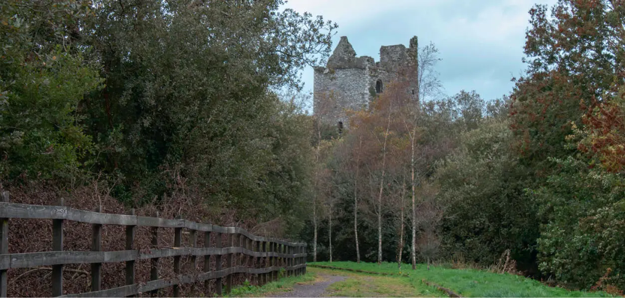 Ballinacarriga Castle DUNMANWAY WEST CORK Situated on a high rocky outcrop - фото 15