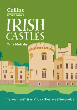 Orna Mulcahy Irish Castles обложка книги