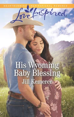 Jill Kemerer His Wyoming Baby Blessing обложка книги