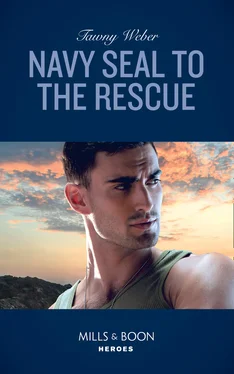 Tawny Weber Navy Seal To The Rescue обложка книги