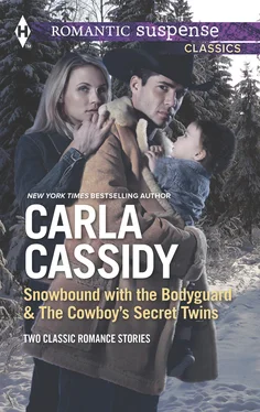 Carla Cassidy Snowbound with the Bodyguard & The Cowboy's Secret Twins обложка книги