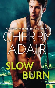 Cherry Adair Slow Burn обложка книги