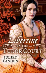 Juliet Landon - LIBERTINE in the Tudor Court
