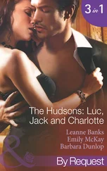 Emily McKay - The Hudson's - Luc, Jack and Charlotte