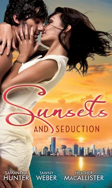 Tawny Weber Sunsets & Seduction обложка книги