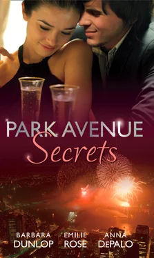 Barbara Dunlop Park Avenue Secrets обложка книги