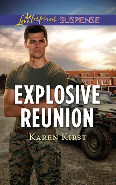 Karen Kirst Explosive Reunion обложка книги