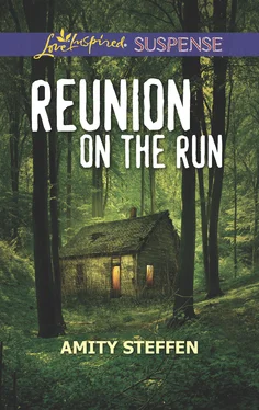 Amity Steffen Reunion On The Run обложка книги