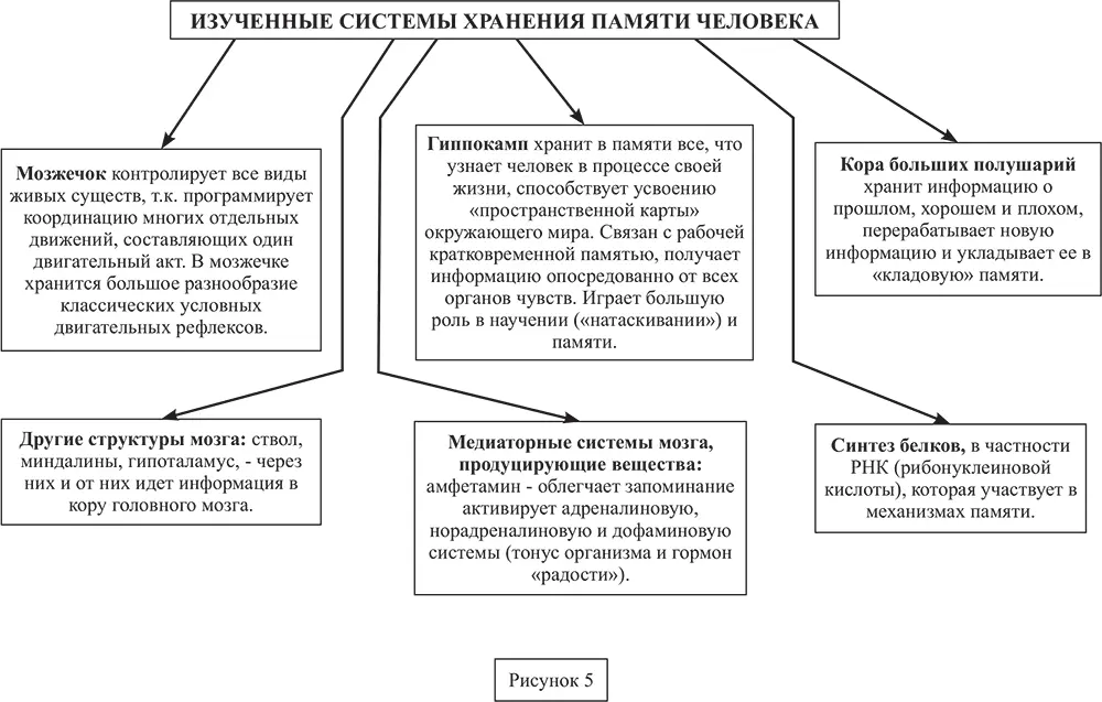 Рисунок 5 Рисунок 6 Точки на деснах для акупрессурного воздействия на - фото 73