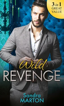 Sandra Marton Wild Revenge обложка книги