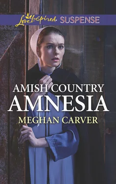 Meghan Carver Amish Country Amnesia обложка книги