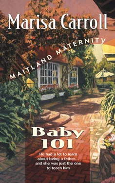 Marisa Carroll Baby 101 обложка книги