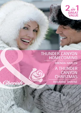 RaeAnne Thayne Thunder Canyon Homecoming / A Thunder Canyon Christmas обложка книги