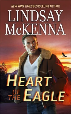 Lindsay McKenna Heart Of The Eagle обложка книги