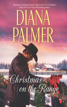 Diana Palmer Christmas On The Range обложка книги