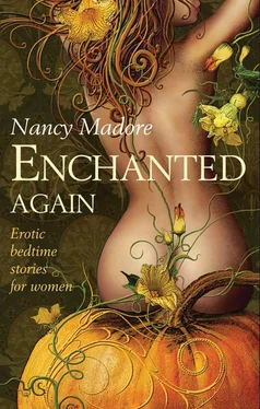 Nancy Madore Enchanted Again обложка книги